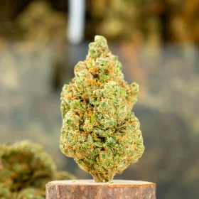 Diamond OG Indoor