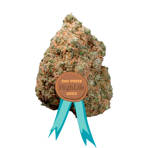 Pineapple Indoor Cali