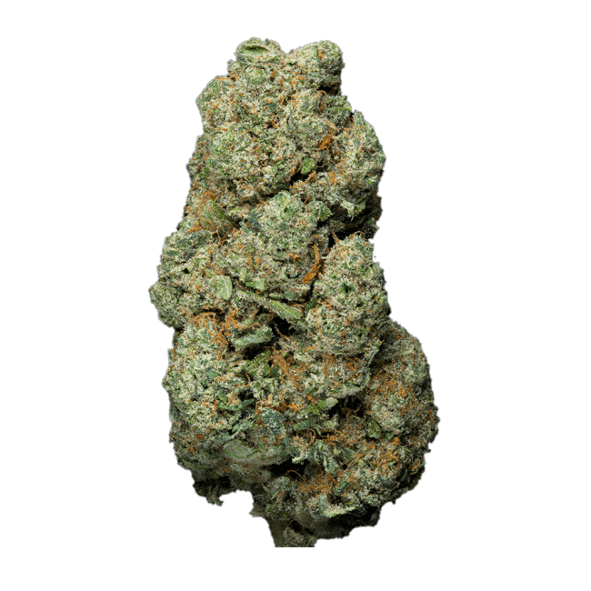 Uranium Indoor