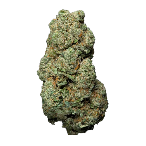 Uranium Indoor