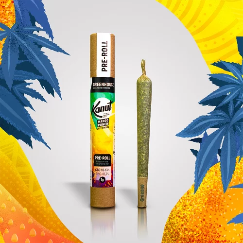 Kanut Mango Punch 1g