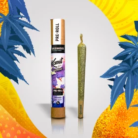 Kanut Blueberry 1g