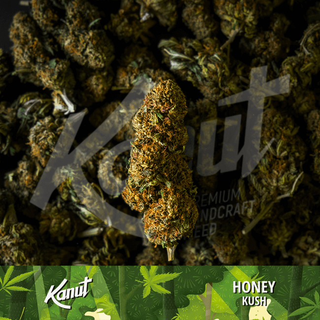 Kanut Honey Kush 1g