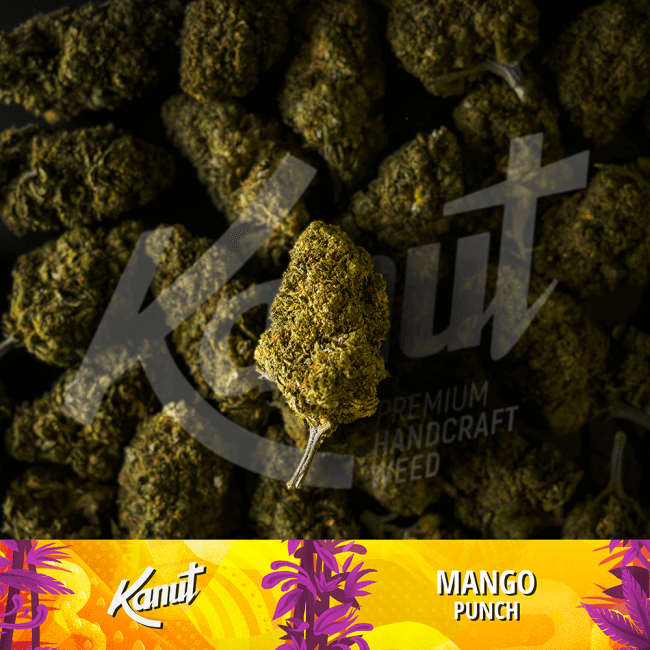 Kanut Mango Punch 2.5g