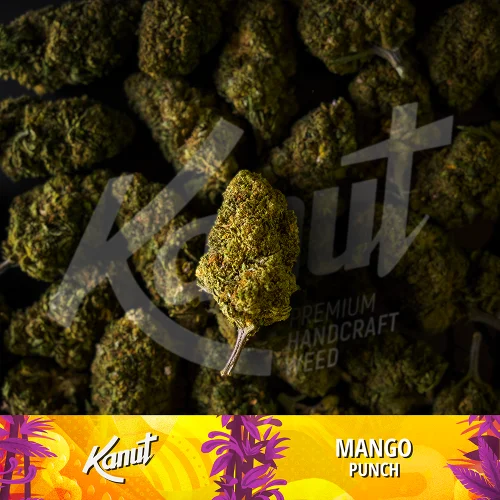 Kanut Mango Punch 2.5g