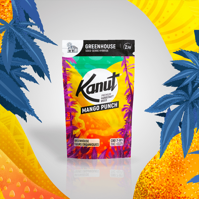 Kanut Mango Punch 2.5g
