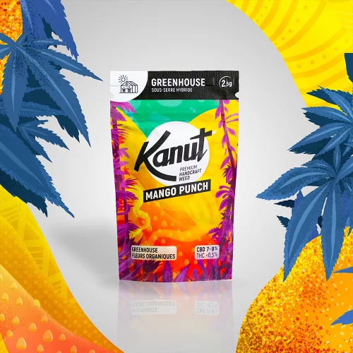 Kanut Mango Punch 2.5g