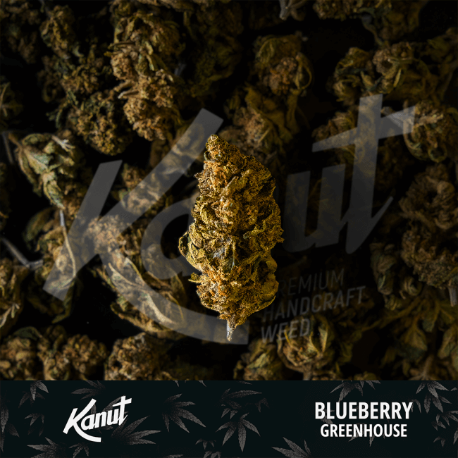 Kanut Blueberry 2.5g