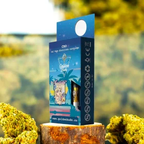 Golden Buds Gelato