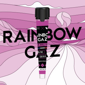Rainbow Gaz Hempium X Happy Pousse