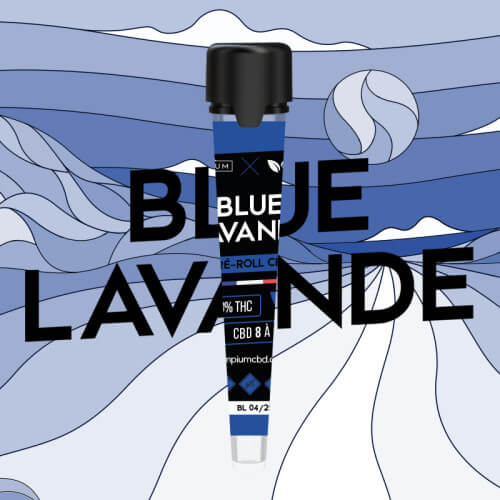 Blue Lavande Hempium X Happy Pousse