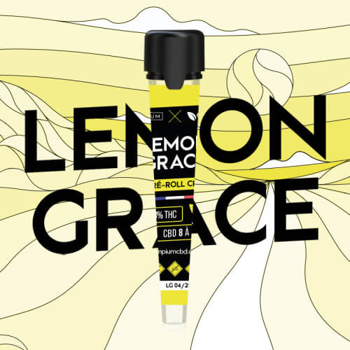 Lemon Grace Hempium X Happy Pousse