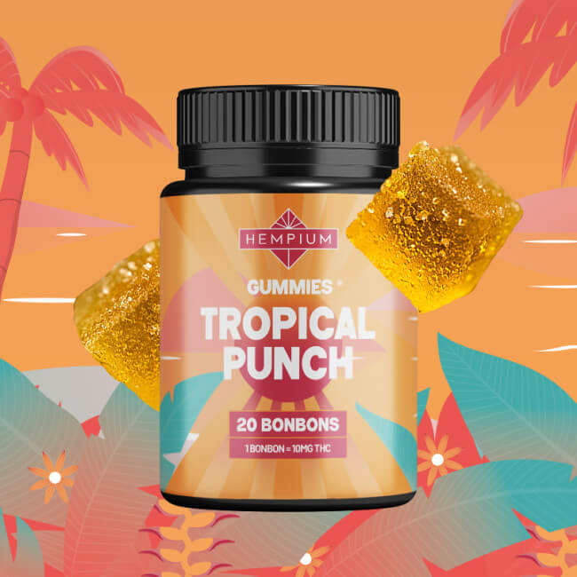 Bonbons THC 10mg Tropical