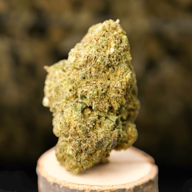 Amnesia CBDX