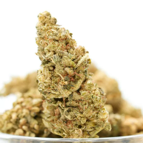 Lemon Indoor HHC