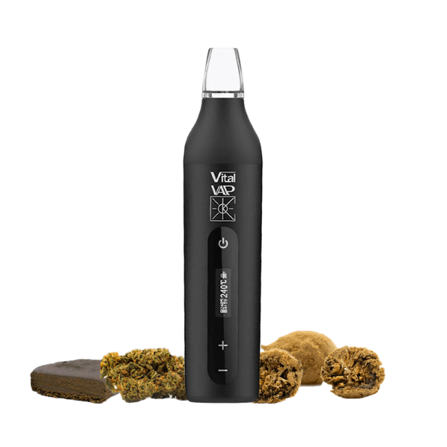 Vital V.A.P Katalyzer